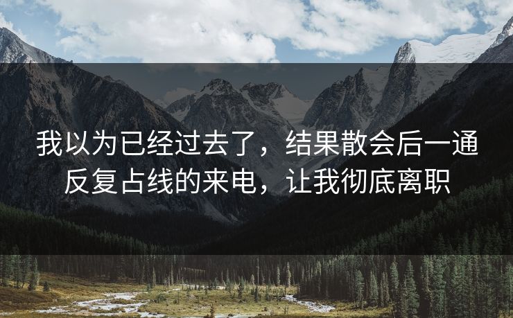 我以为已经过去了，结果散会后一通反复占线的来电，让我彻底离职