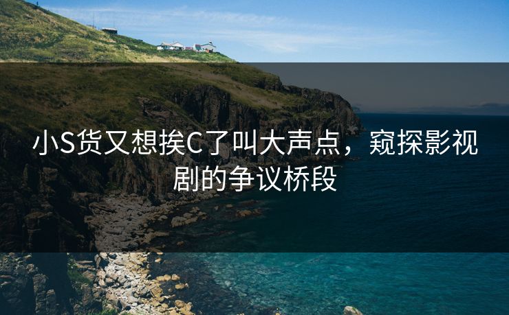 小S货又想挨C了叫大声点，窥探影视剧的争议桥段