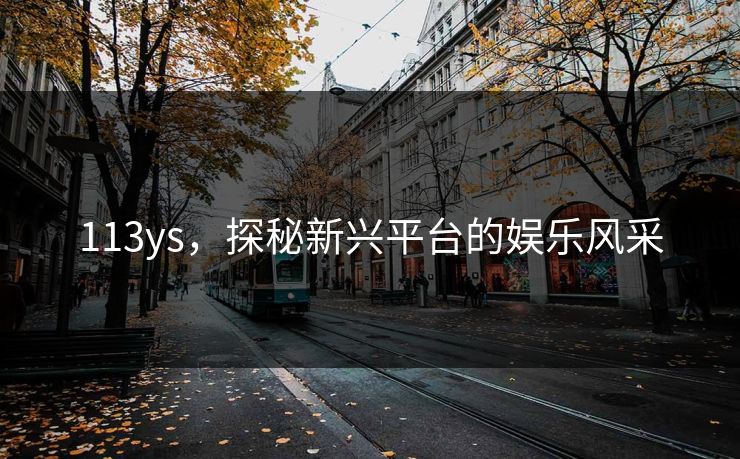 113ys，探秘新兴平台的娱乐风采