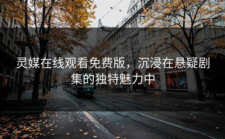 灵媒在线观看免费版,沉浸在悬疑剧集的独特魅力中