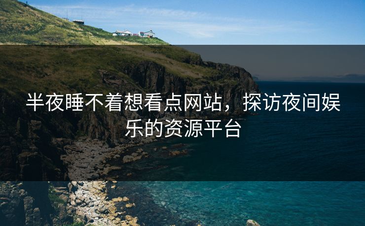 半夜睡不着想看点网站，探访夜间娱乐的资源平台