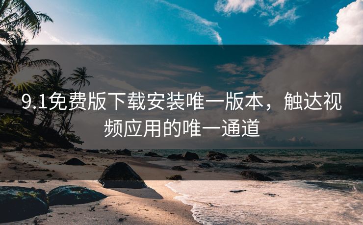 9.1免费版下载安装唯一版本，触达视频应用的唯一通道