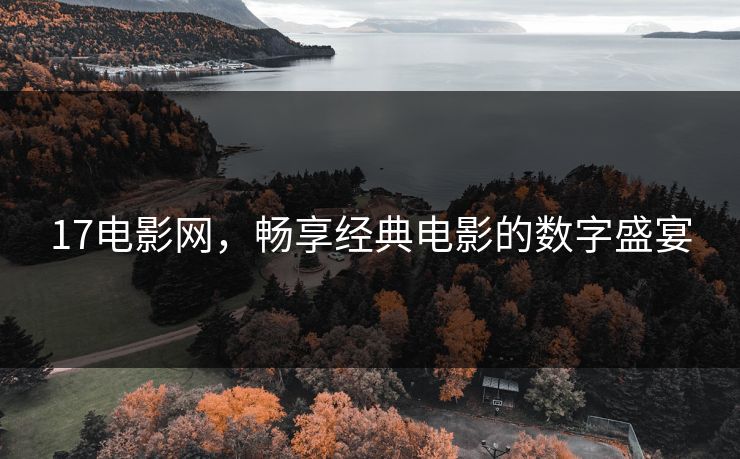 17电影网,畅享经典电影的数字盛宴 17电影网,畅享经典电影的数字盛宴