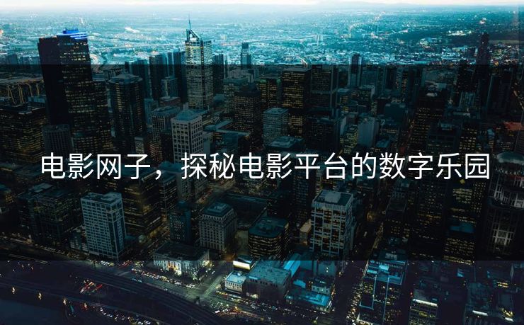 电影网子，探秘电影平台的数字乐园