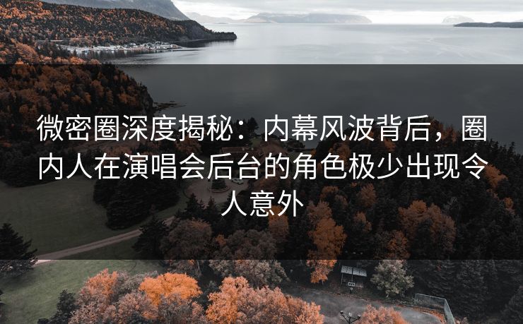 微密圈深度揭秘：内幕风波背后，圈内人在演唱会后台的角色极少出现令人意外