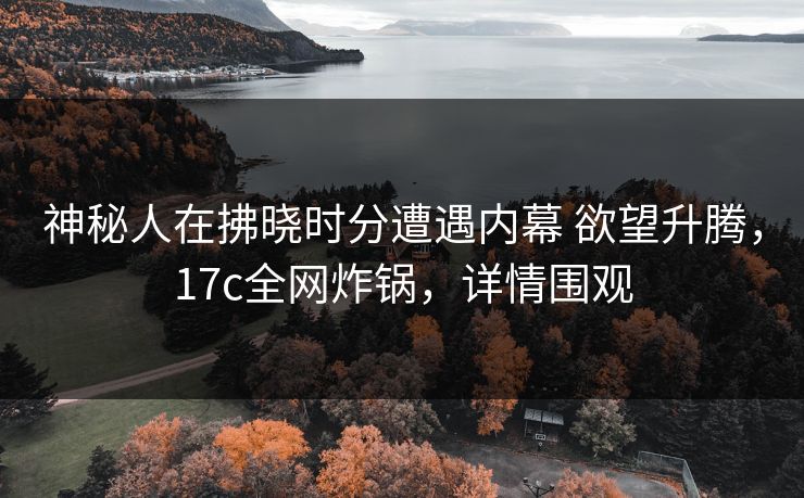 神秘人在拂晓时分遭遇内幕 欲望升腾，17c全网炸锅，详情围观