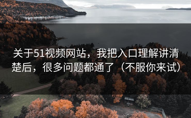 关于51视频网站，我把入口理解讲清楚后，很多问题都通了（不服你来试）
